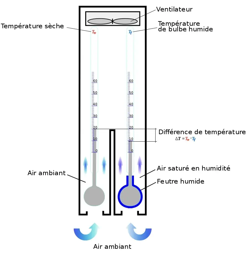 Taux d'Humidité Idéal dans une Maison : Le Guide Complet